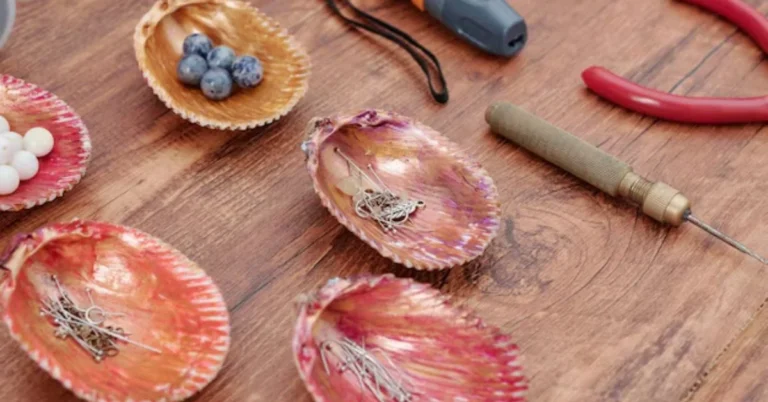 Abalone Shell