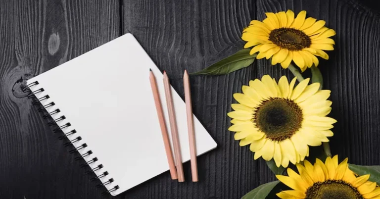 Sunflower Drawing