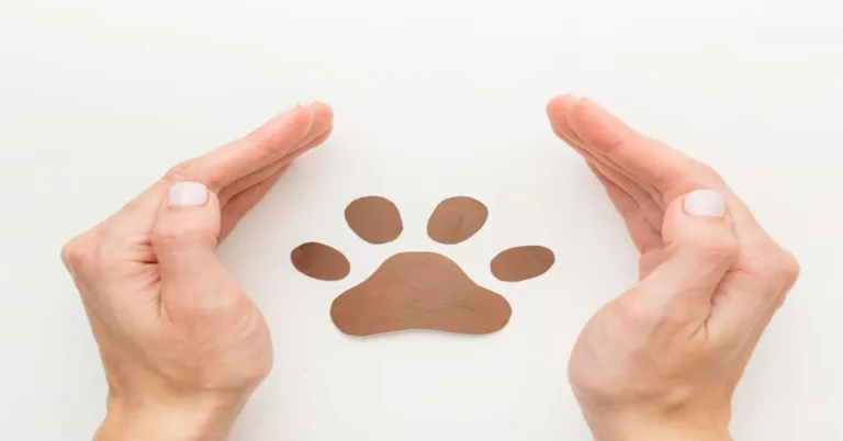 Printy Paws